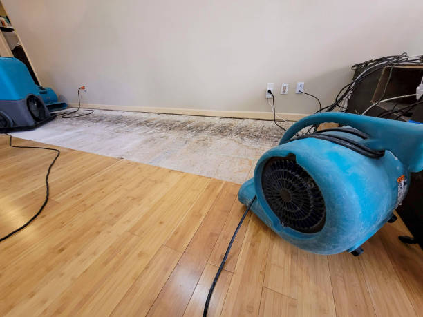 Professional Water Damage Repair technician working in Lumberton, NC